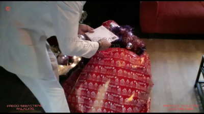 Panjo, mi ricevis mian kristnaskan donacon harplenan blondan panjon hundinon kun granda pugo freneza pri koko